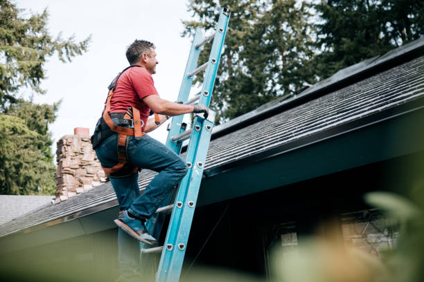 Best Chimney Flashing Repair  in Lubbock, TX