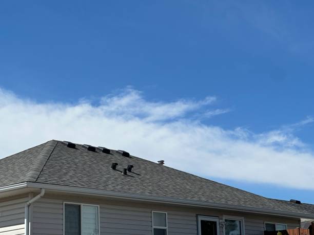 Best Roof Coating and Sealing  in Lubbock, TX